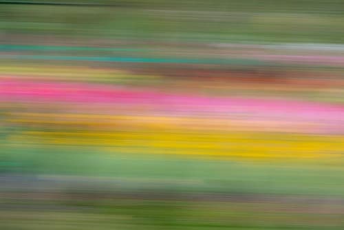 France-Giverny Abstract of flowers in Monets Garden Art Print